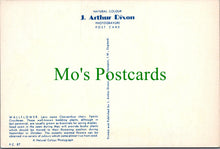 Load image into Gallery viewer, Nature Postcard - Flowers, Wallflower  SW13749
