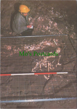 Load image into Gallery viewer, Wales Postcard - Archaeologist at Work, Dan-yr-Ogof Showcaves SW13655
