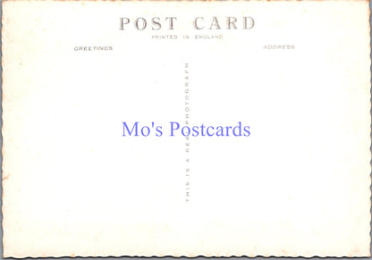 Somerset Postcard - Cheddar and Glastonbury  SW14098