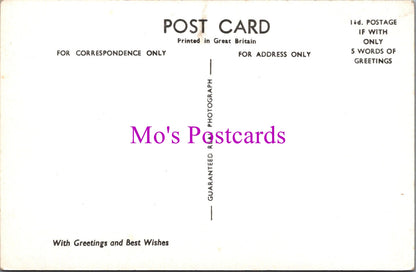 Scotland Postcard - Greetings From Dhalling Mhor  SW15616