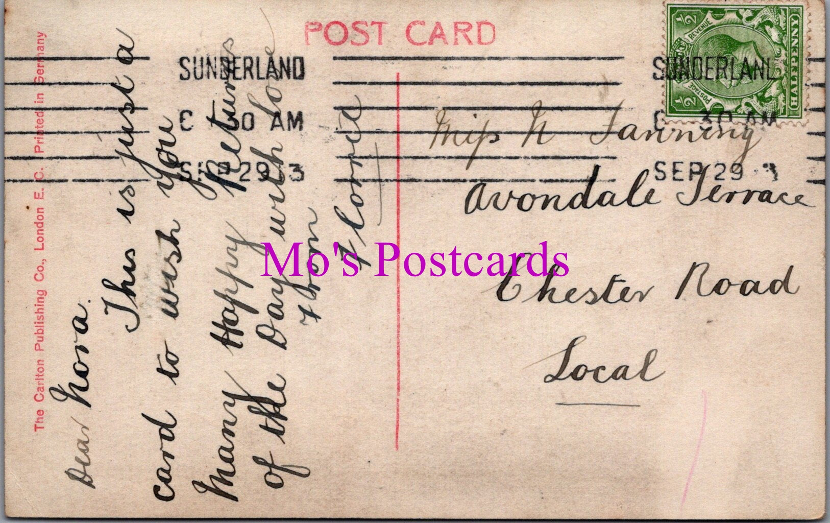 Fashion Postcard - Glamorous Lady Portrait With Flowers SW15630