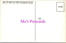 Load image into Gallery viewer, America Postcard - Rock City Park, Minneapolis, Kansas  SW15645

