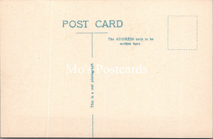 Warwickshire Postcard - Shakespeare's Birthplace, Stratford-On-Avon  SW16466