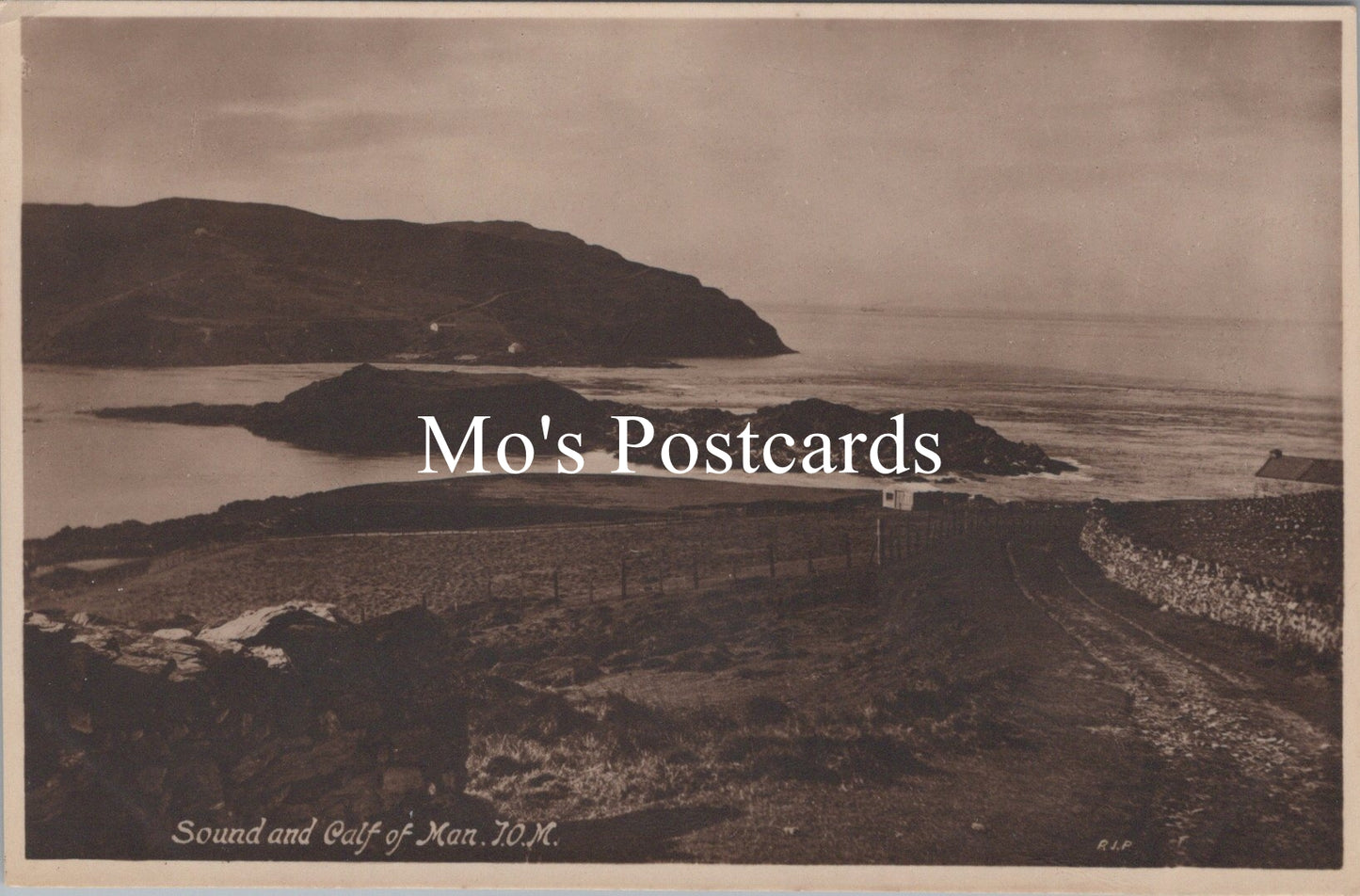Isle of Man Postcard - Sound and Calf of Man   SW16473