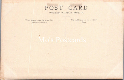 Isle of Man Postcard - Sound and Calf of Man   SW16473