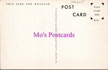 Load image into Gallery viewer, America Postcard - Masonic Temple, Muskogee, Oklahoma   HM445
