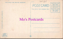 Load image into Gallery viewer, America Postcard - Masonic Temple and Olean House By Night, New York  HM446
