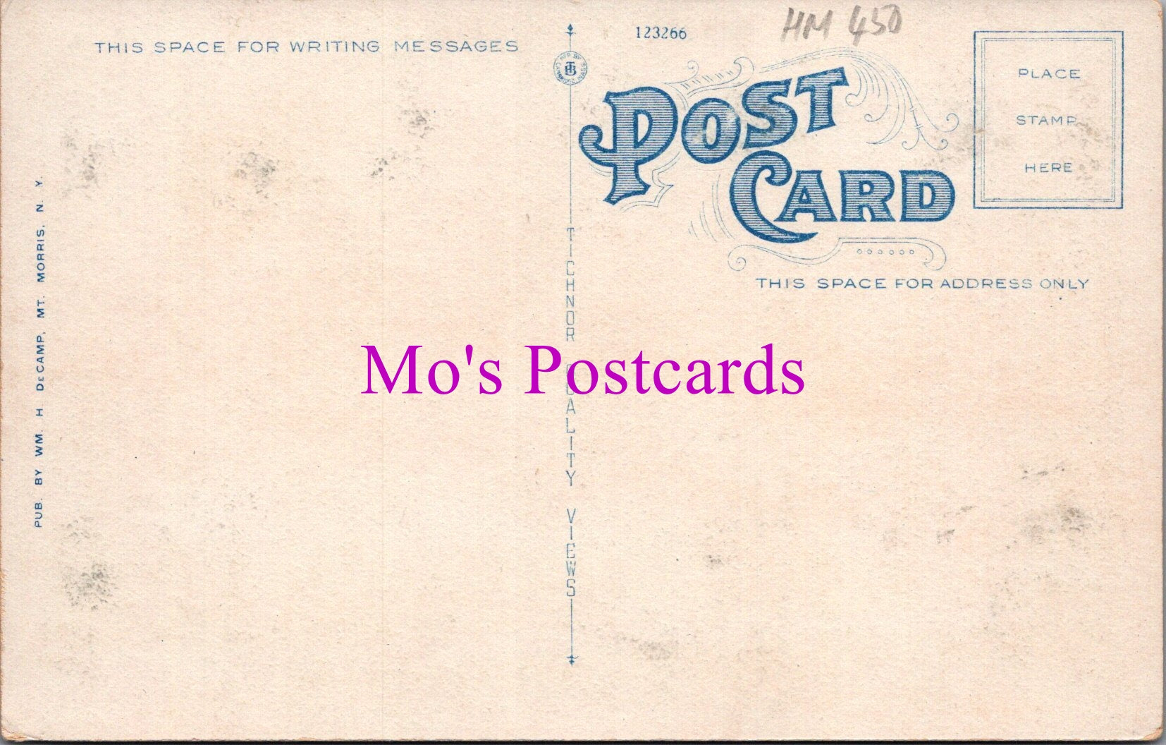 America Postcard - Masonic Temple, Mount Morris, New York  HM450