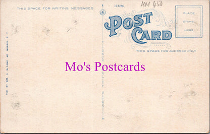 America Postcard - Masonic Temple, Mount Morris, New York  HM450