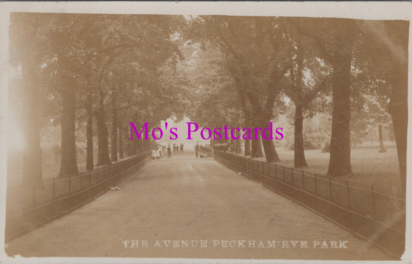 London Postcard - The Avenue, Peckham Rye Park  HM568
