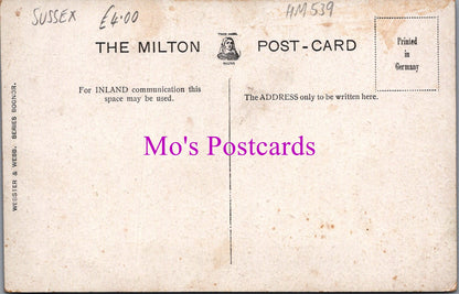 Sussex Postcard - The Steyne, Bognor    HM539