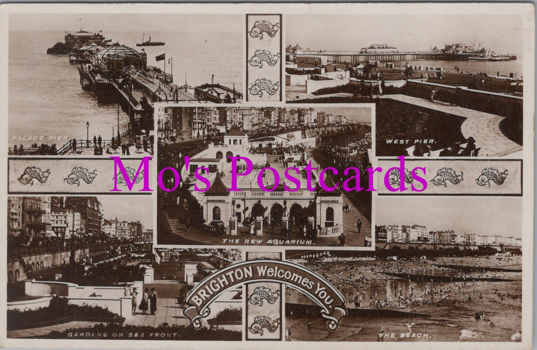 Sussex Postcard - Brighton Welcomes You   HM392