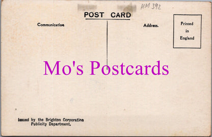 Sussex Postcard - Brighton Welcomes You   HM392