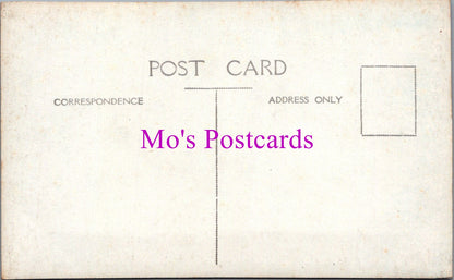Kent Postcard - Port Lympne, The Long Border SW16325