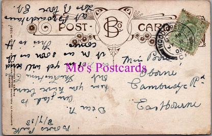 Comic Postcard - I'm Going To Take a Trip  SW16348