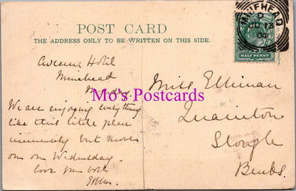 Somerset Postcard - Dunster Village   SW16354