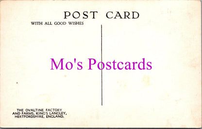 Hertfordshire Postcard - The Ovaltine Factory and Farms, King's Langley  SW14771