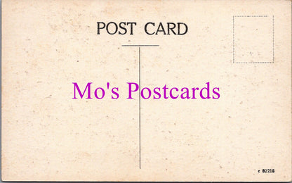 Wales Postcard - Plasmawr, Conway   SW14778