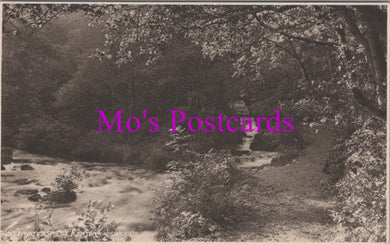 Devon Postcard - Watersmeet, Lynton   SW14783