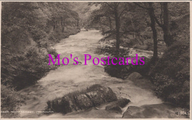 Devon Postcard - Watersmeet, Lynmouth   SW14784