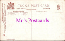 Load image into Gallery viewer, Animals Postcard - Butterflies and Moths   SW14790
