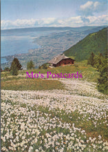 Load image into Gallery viewer, Switzerland Postcard - Narcissi Fields in Caux Above Montreaux  SW15276
