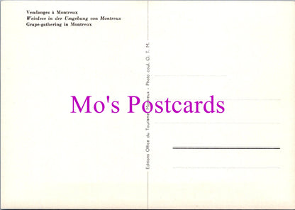 Switzerland Postcard - Grape Gathering in Montreaux  SW15277
