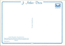 Load image into Gallery viewer, Gloucestershire Postcard - Lower Slaughter Village  SW15708
