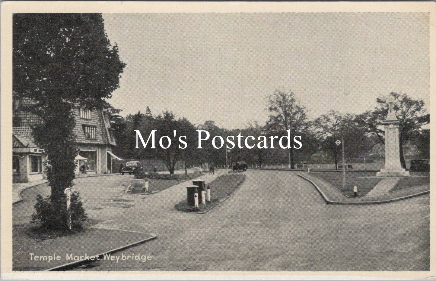 Surrey Postcard - Temple Market, Weybridge SW15529