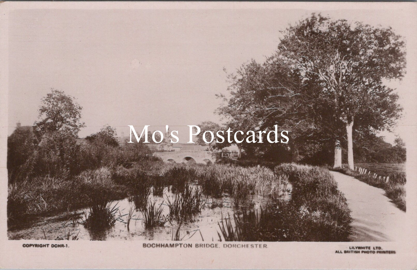 Dorset Postcard - Bochhampton Bridge, Dorchester   SW15532