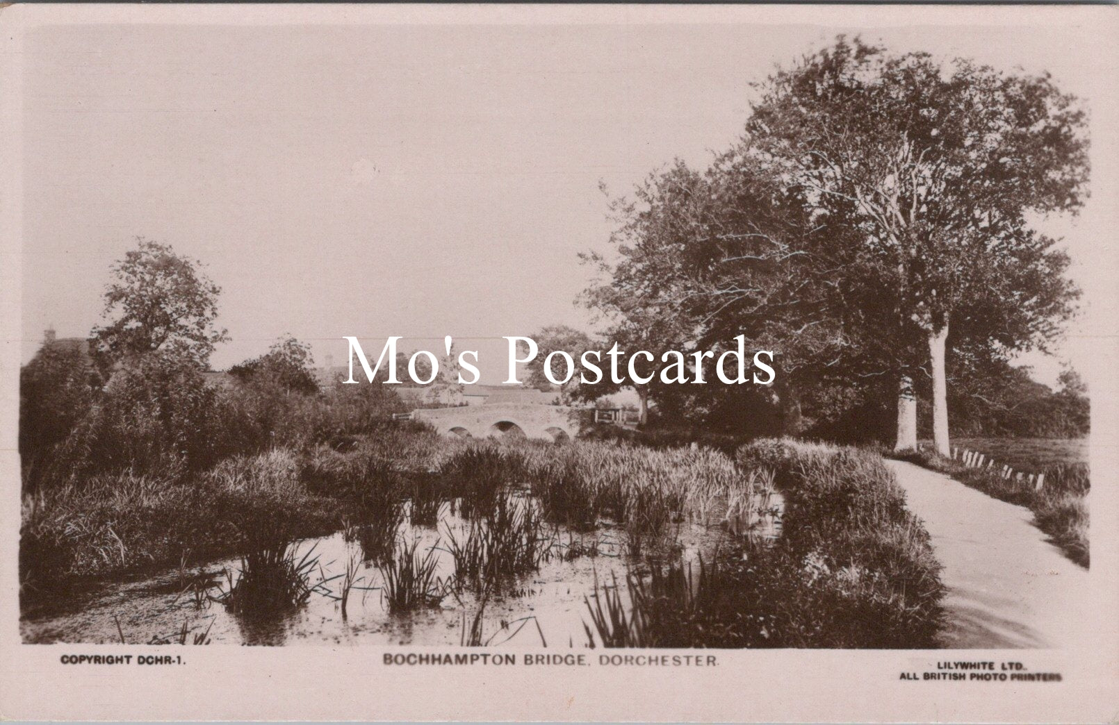 Dorset Postcard - Bochhampton Bridge, Dorchester   SW15532