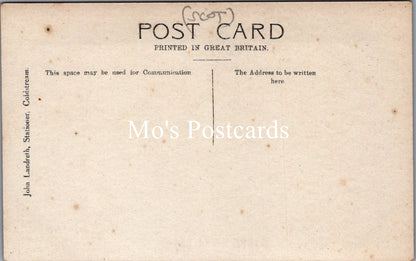 Scotland Postcard - The Hirsel, Coldstream   SW15548