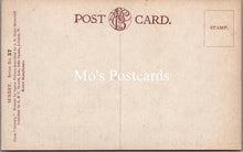 Load image into Gallery viewer, Surrey Postcard - Godalming, A Bit of The Old Town  SW15686
