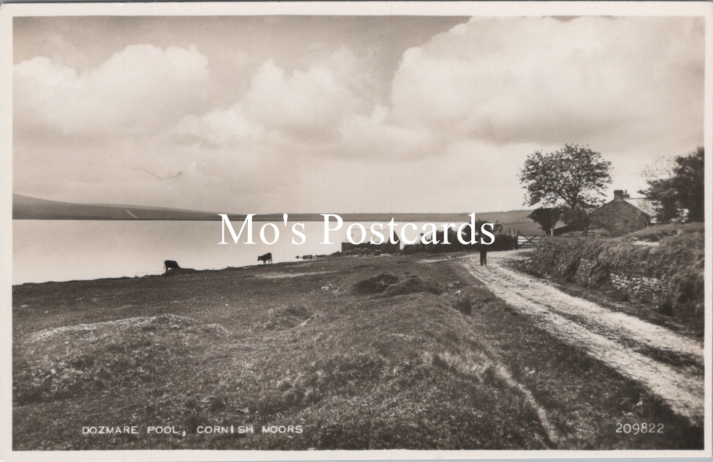 Cornwall Postcard - Dozmare Pool, Cornish Moors   SW15603