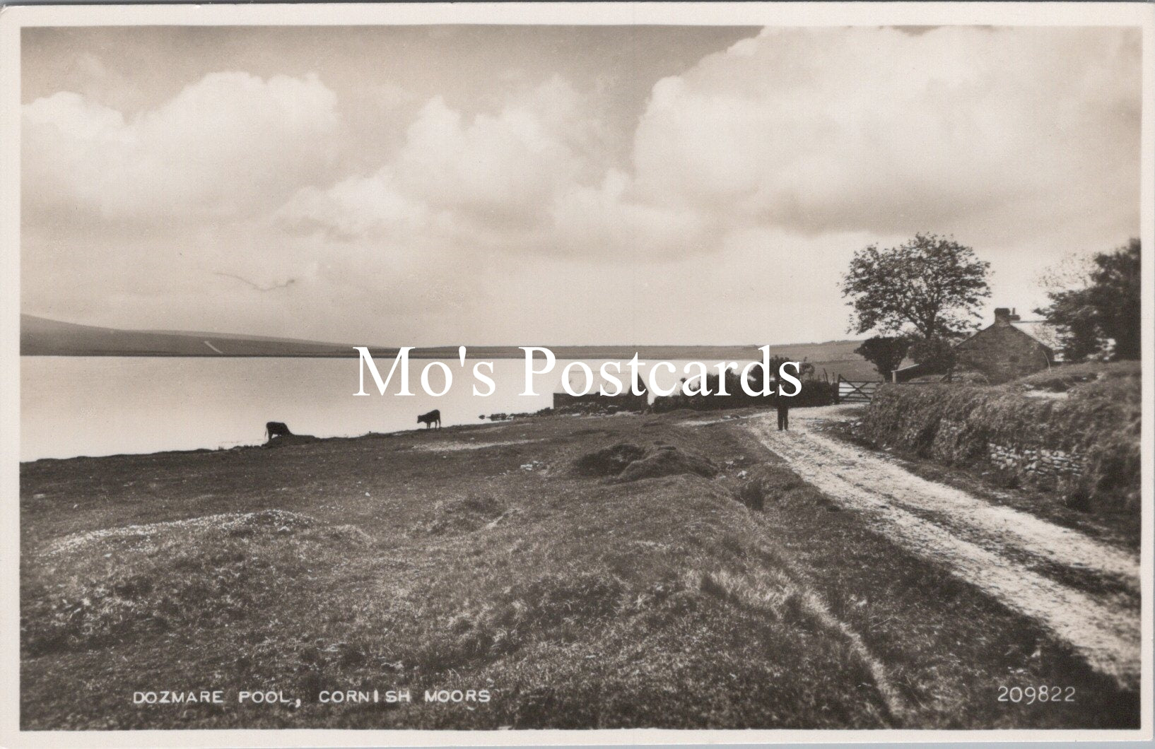 Cornwall Postcard - Dozmare Pool, Cornish Moors   SW15603