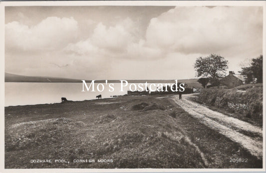Cornwall Postcard - Dozmare Pool, Cornish Moors   SW15603