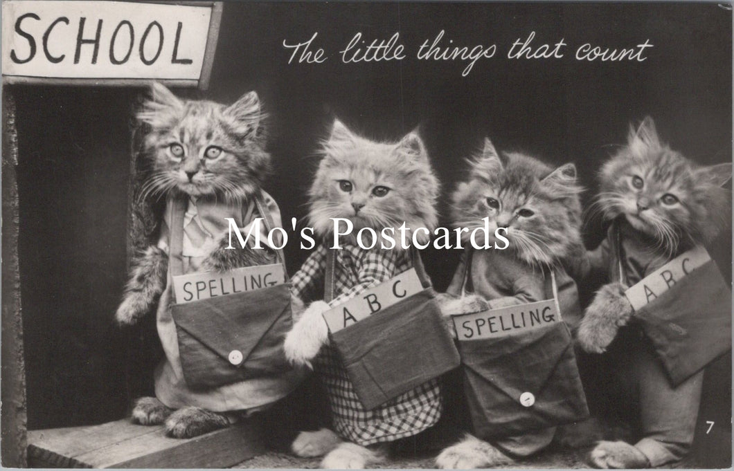 Animals Postcard - Cats, Kittens, The Little Things That Count  SW15737