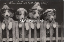 Load image into Gallery viewer, Animals Postcard - Dogs, Puppies, When Shall We Hear From You  SW15738
