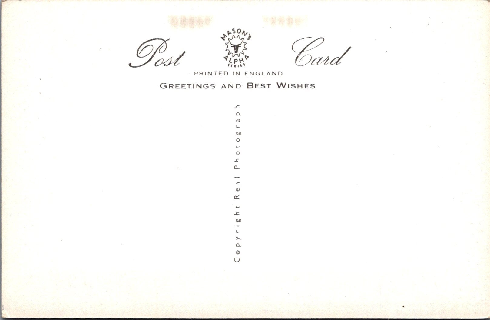 Animals Postcard - Dogs, Puppies, When Shall We Hear From You  SW15738