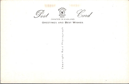 Animals Postcard - Dogs, Puppies, When Shall We Hear From You  SW15738