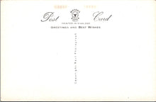 Load image into Gallery viewer, Animals Postcard - Dogs, Puppies, When Shall We Hear From You  SW15738
