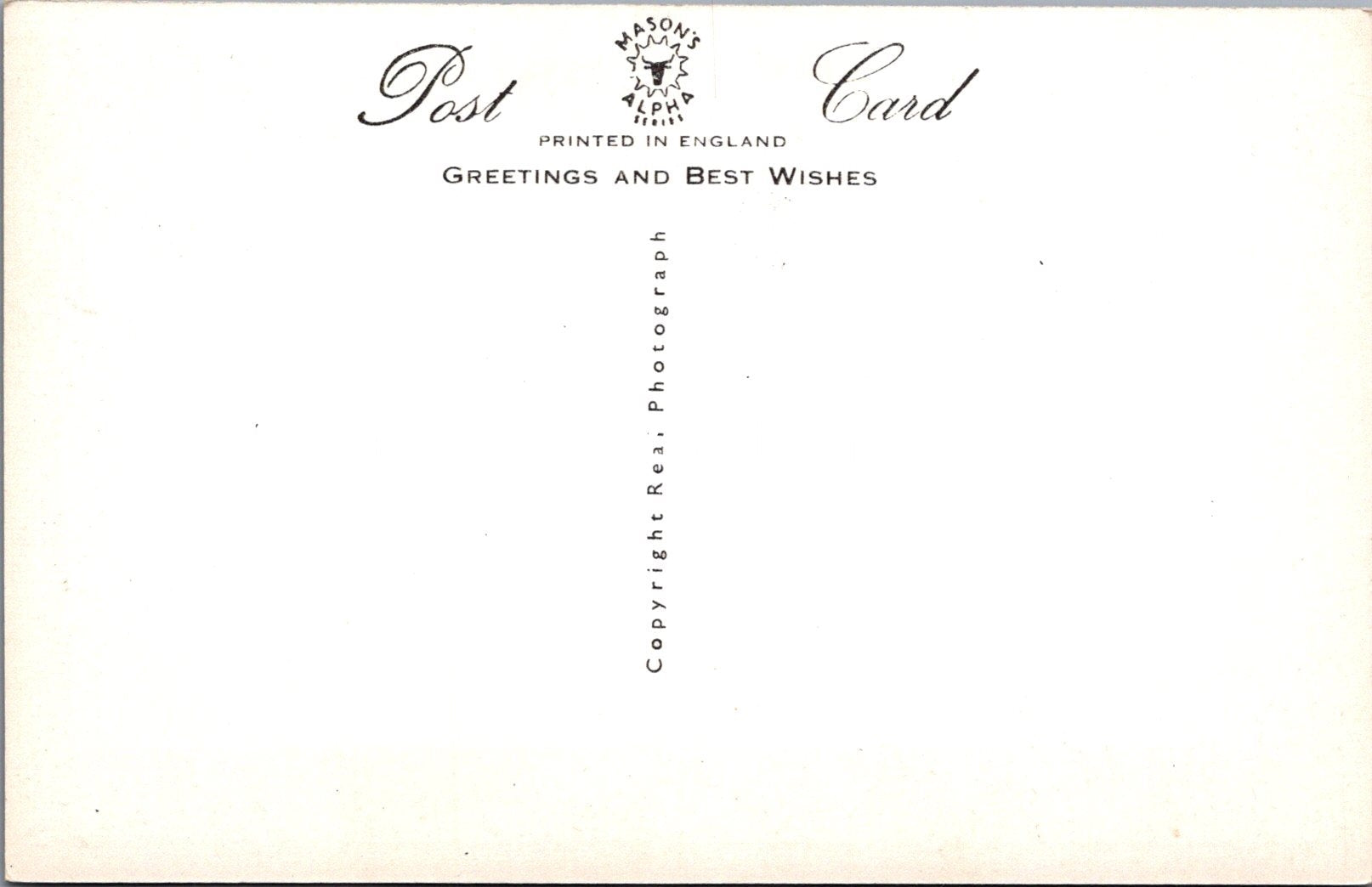Animals Postcard - Cats, Kittens, We Are All Ready!  SW15740
