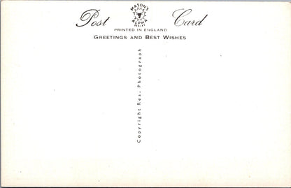 Animals Postcard - Cats, Kittens, We Are All Ready!  SW15740