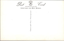 Load image into Gallery viewer, Animals Postcard - Cats, Kittens, We Are All Ready!  SW15740
