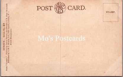 Surrey Postcard - Eashing Near Godalming  SW15750