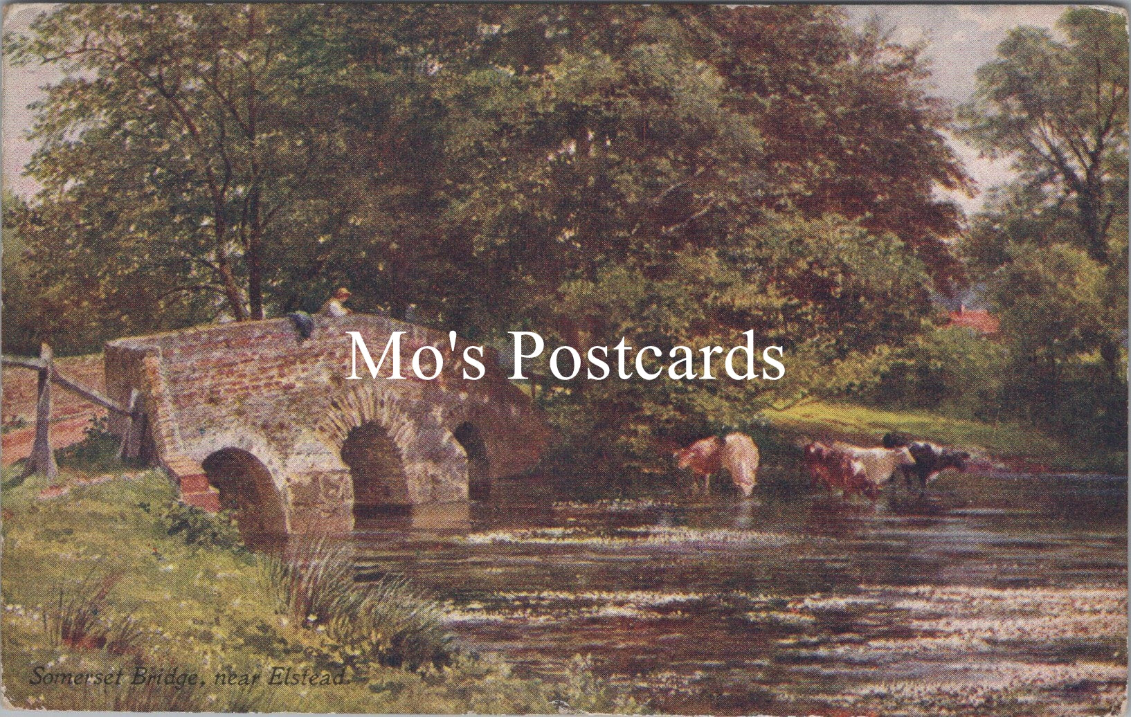 Surrey Postcard - Somerset Bridge, Near Elstead    SW15751