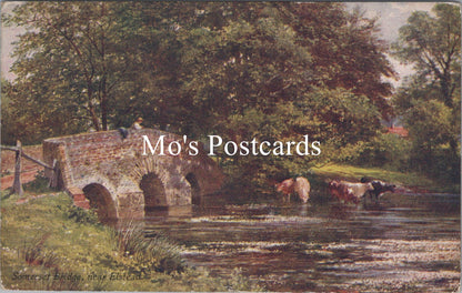 Surrey Postcard - Somerset Bridge, Near Elstead    SW15751