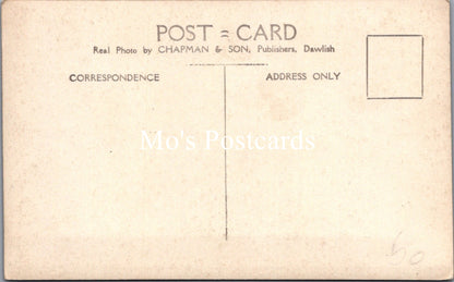Animals Postcard - Dartmoor Ponies   SW15876