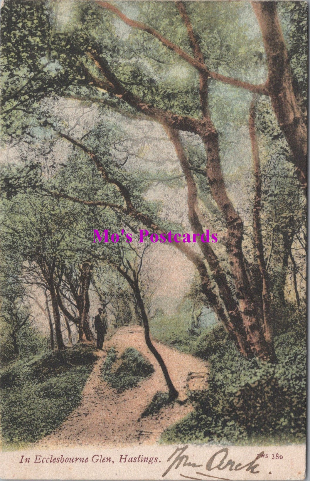 Sussex Postcard - Hastings, In Ecclesbourne Glen  SW14694