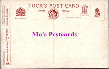 Load image into Gallery viewer, Animals Postcard - Cats, Persian Pussies, Little Snow White  SW14731
